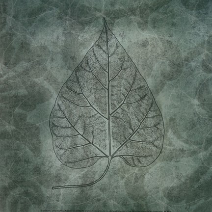 Framed Leaves of Spring Print