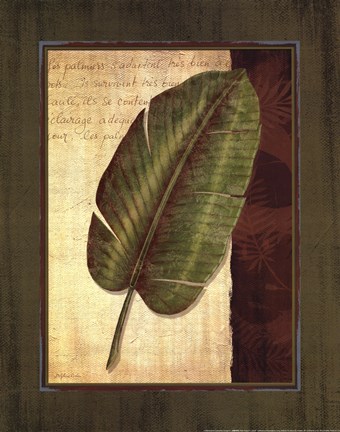 Framed Palm Tropical II - grande Print