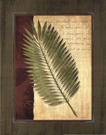 Framed Palm Tropical III - grande Print