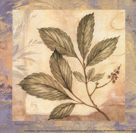 Framed Leaf Botanicals II - petite Print