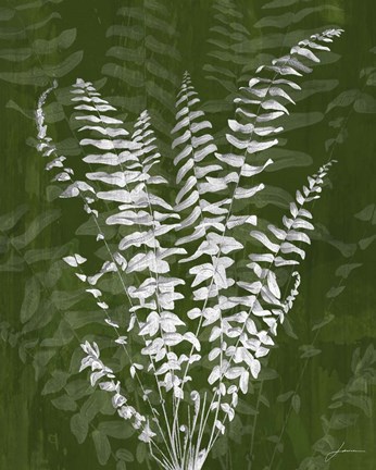 Framed Jewel Ferns I Print