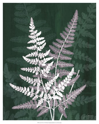 Framed Jewel Ferns IV Print