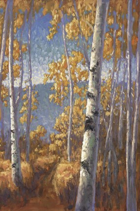 Framed Aspen Forest II Print