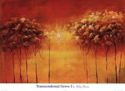 Framed Transcendental Grove I Print