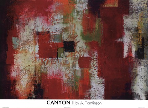Framed Canyon I Print