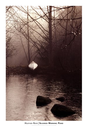 Framed Silvered Morning Pond Print