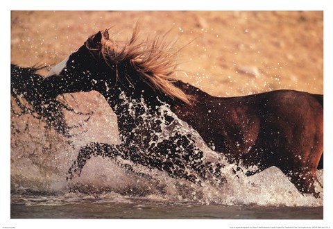 Framed Running through Water Print