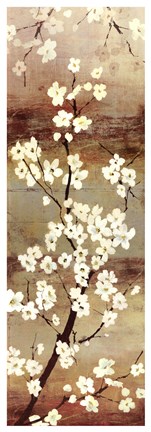 Framed Blossom Canopy I Print