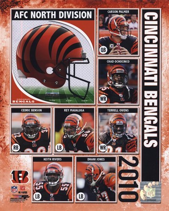Framed 2010 Cincinnati Bengals Team Composite Print
