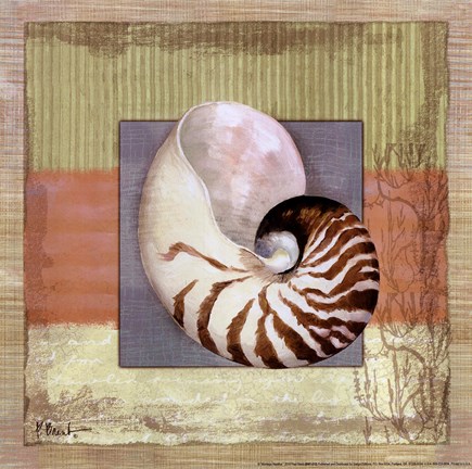 Framed Montego Nautilus Print