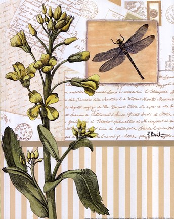 Framed Botanical Collage II - mini Print