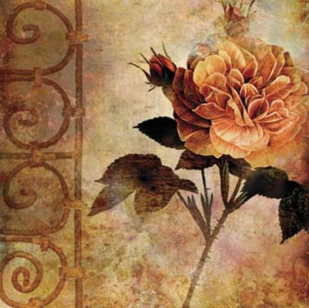Framed Old Rose I Print