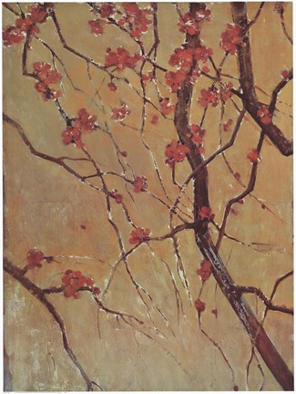 Framed Blossom Panel II (detail) Print
