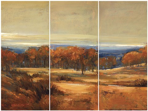 Framed Golden Horizon Triptych Print