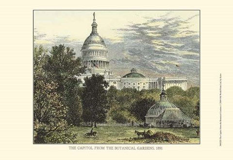 Framed Capitol From the Botanical Gardens Print