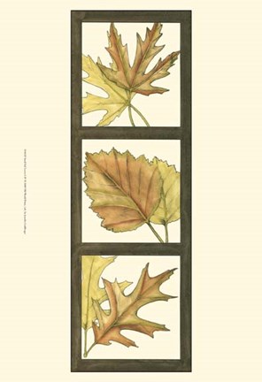Framed Small Fall Leaves I (P) Print