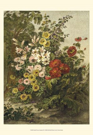 Framed Small Flower Garden (P) Print