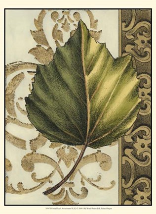 Framed Small Leaf Assortment II (U) Print
