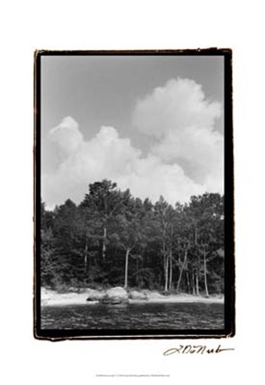Framed Serene Lake V Print