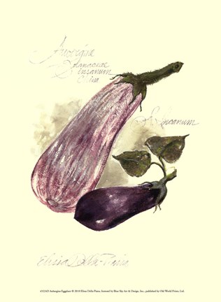 Framed Aubergine Eggplant Print