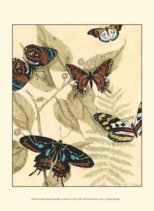 Framed Sm. Graphic Butterflies II (P) Print