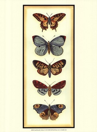 Framed Small Butterfly Collector VI (P) Print
