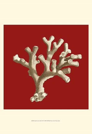 Framed Small Coral on Red II (P) Print