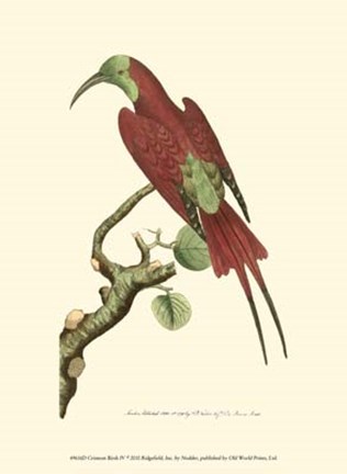 Framed Crimson Birds IV Print