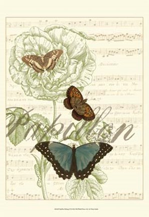 Framed Papillon Melange II Print