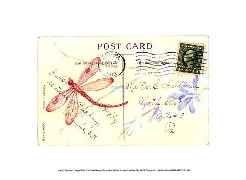 Framed Postcard Dragonfly IV Print