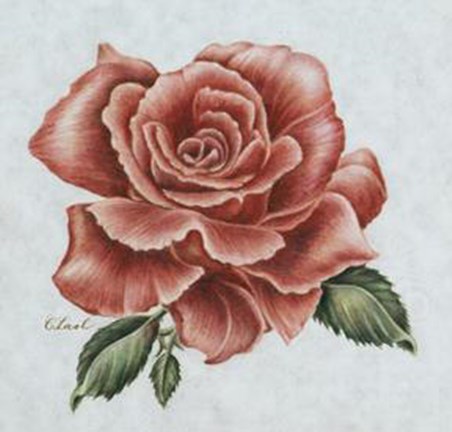 Framed June&#39;s Flower, The Rose Print