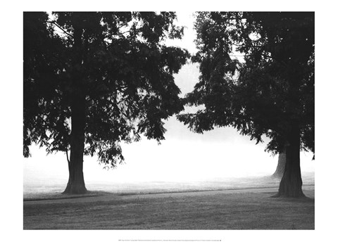 Framed Fog in the Park II Print