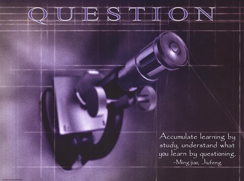 Framed Question Print