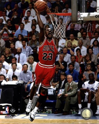 Framed Michael Jordan 1994-95 basketball Print