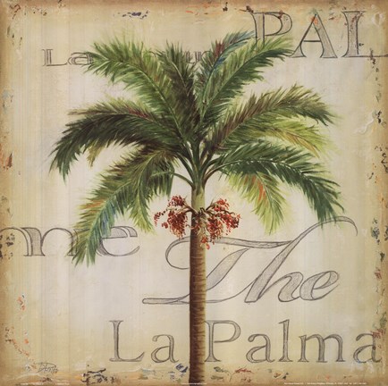 Framed La Palma II Print