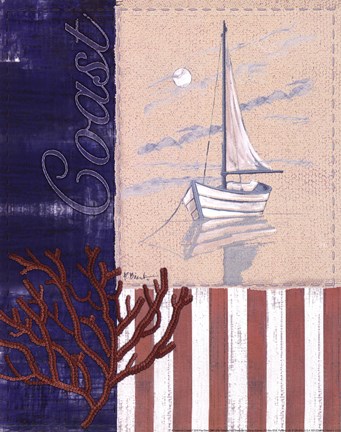 Framed American Coastal I Print