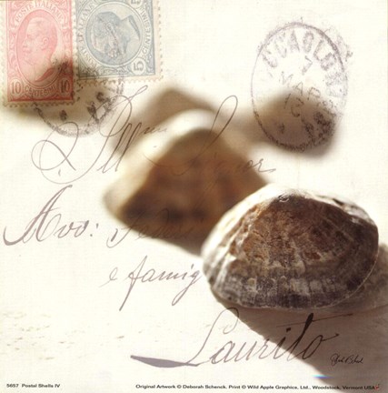 Framed Postal Shells IV Print