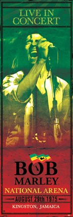 Framed Bob Marley - Concert Print