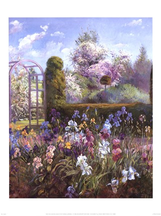 Framed Iris in the Formal Garden Print