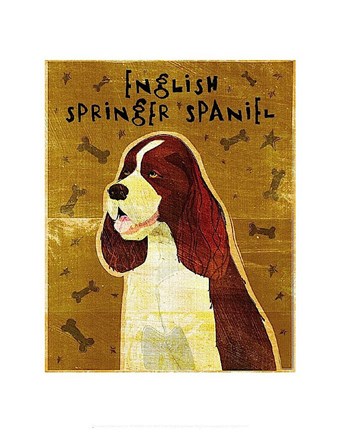 Framed English Springer Spaniel Print
