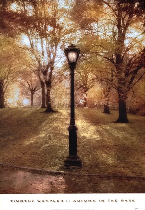 Framed Autumn in the Park Print