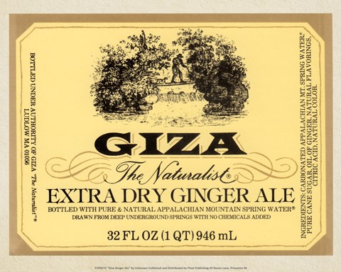 Framed Giza Ginger Ale Print