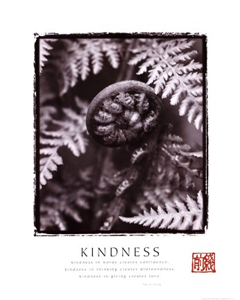 Framed Kindness - Fiddleheads Print