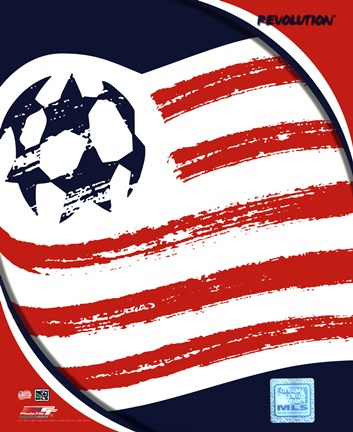Framed 2011 New England Revolution Team Logo Print