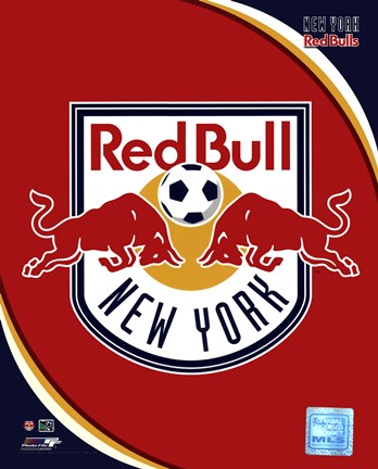Framed 2011 New York Red Bulls Team Logo Print