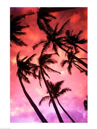 Framed Kauai Hawaii Palm Tree Silhouette Sunset Print