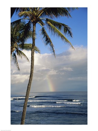 Framed Kauai Hawaii - Palm Tree Print