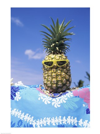 Framed Hawaii USA Pineapple Print