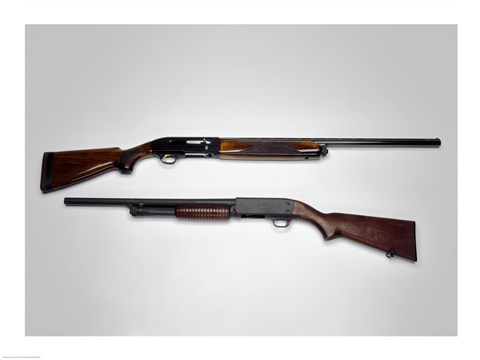 Framed Close-up of a Beretta 20-gauge and an Ithaca 12-gauge shotgun Print