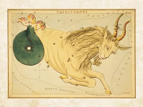 Framed Capricornus Zodiac Sign Print